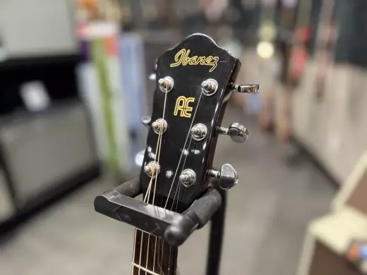 Ibanez AEM20 Acoustic Guitar w/ Case 2