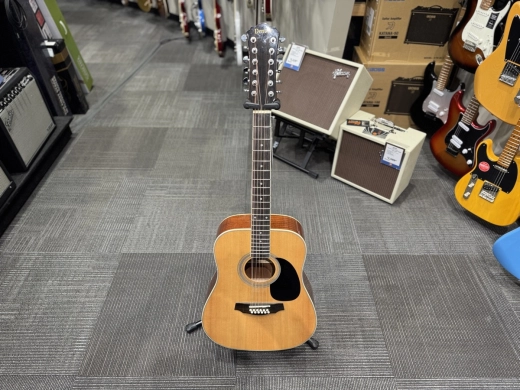 Denver DD44S12-NAT 12 String Acoustic