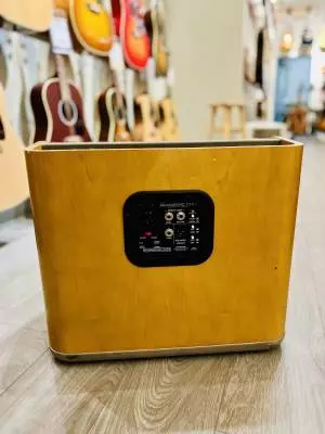 Fender Acoustic PRO 2