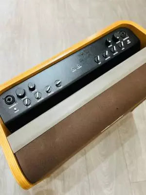 Fender Acoustic PRO 2