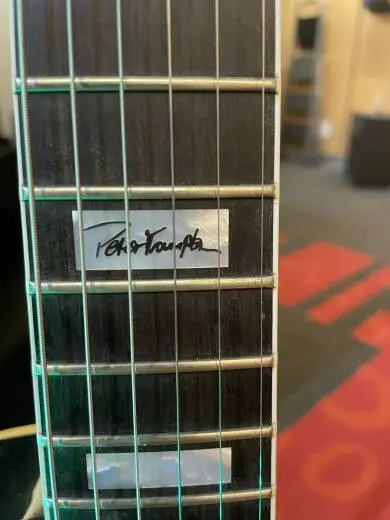 Gibson Custom Shop - CSPFXVOEBGH 2