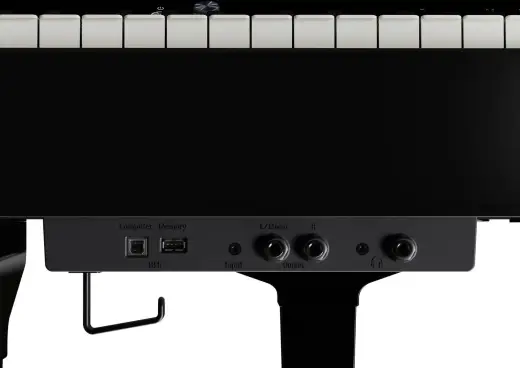 Roland Digital Grand Piano- GP-9M-PE 2