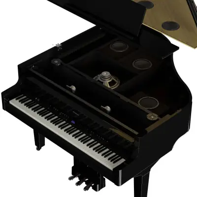 Roland Digital Grand Piano- GP-9M-PE 2