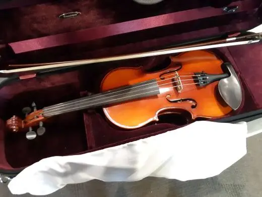 David Gage E-Series RV4E Violin