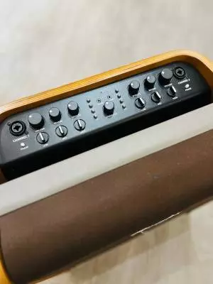 Fender Acoustic SFX 2