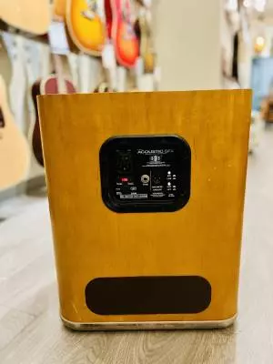 Fender Acoustic SFX 2