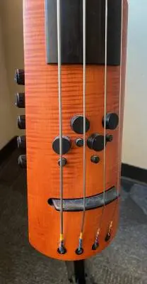 NS Designs Upright Electric Bass - CR4M 2