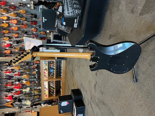 Larrivee RS-02 singlecut, dual P90 pickups electric guitar
