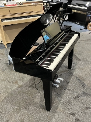 Roland - GP-3-PE Digital Piano 2