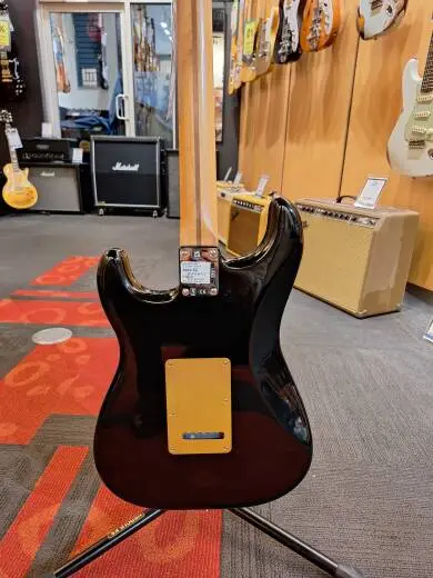 Store Special Product - Player Stratocaster with Roasted Maple Neck - Black/Gold