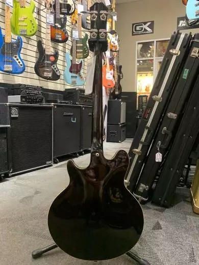 Epiphone Jack Casady Bass 2