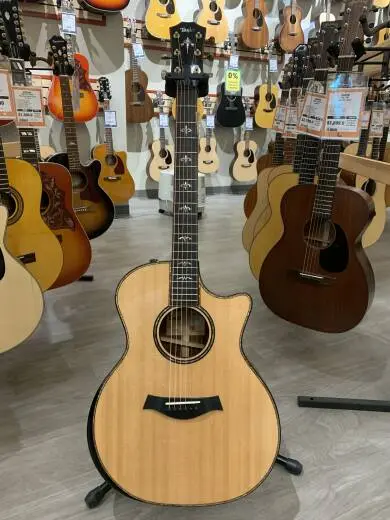 Taylor Guitars - 914CE VCL