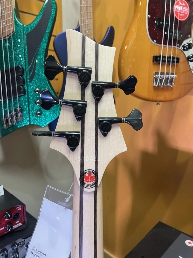 F-Bass Custom Shop BN 5-String - Transparent Red 4