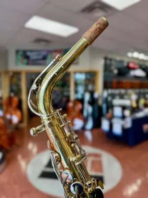 Alto Sax 5