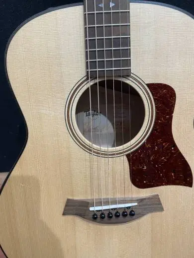 Store Special Product - Taylor Guitars - GTE URBAN ASH