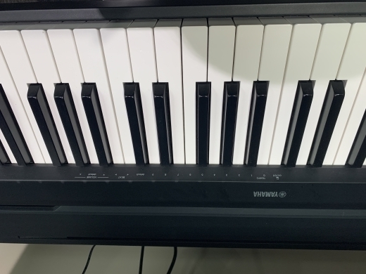 Gear Hunter | Yamaha - P45 B