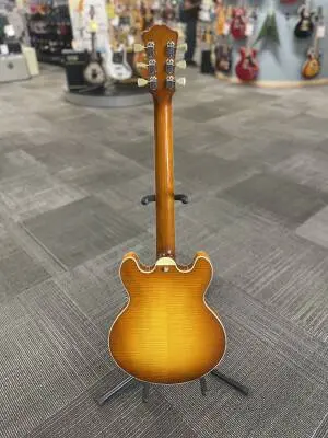 Eastman Guitars - T484-GB 2