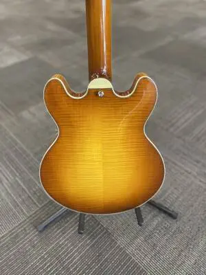 Eastman Guitars - T484-GB 2