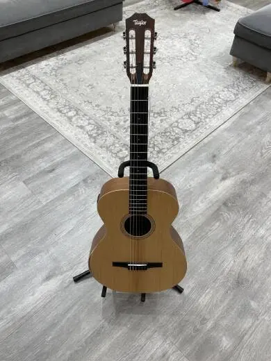 Taylor Guitars - ACADEMY 12E-N