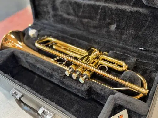 Professional Trumpet 2