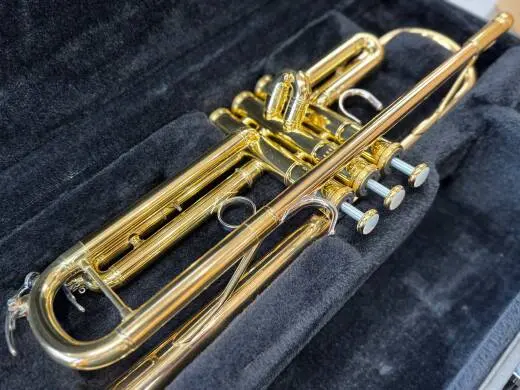 Professional Trumpet 2