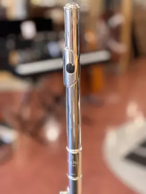 Pearl Flutes - PF-665RBE1RB 2