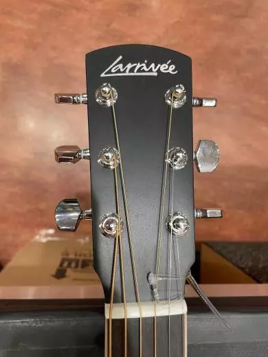 Larrivee - OMV-03E 2