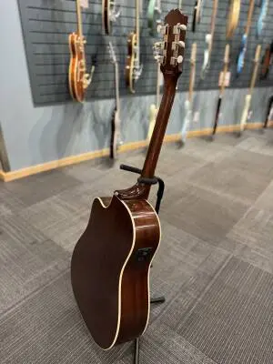 Epiphone - IGMTJ45CVSNH 2