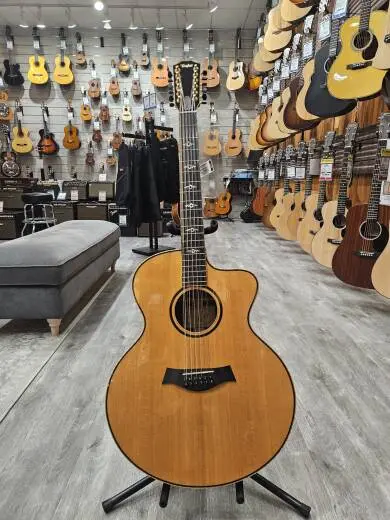 Taylor 12 String Guitar