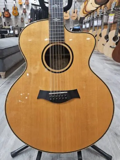 Taylor 12 String Guitar 2