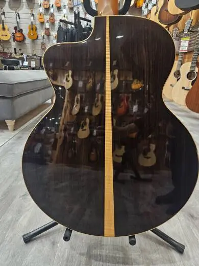 Taylor 12 String Guitar 2