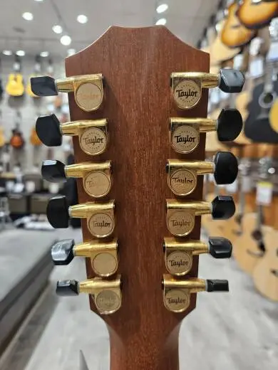Taylor 12 String Guitar 2