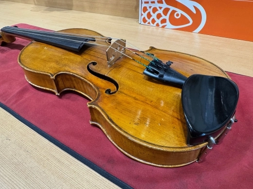 VIOLIN 6