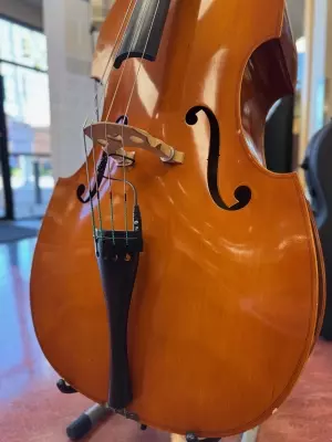 Eastman Strings - VB80ST 3/4 OF 2