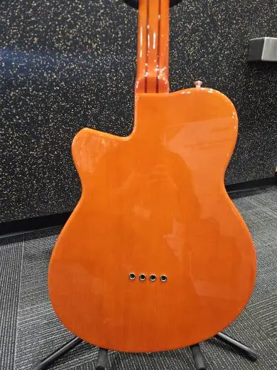REVEREND DUB-KING BASS W/CASE 2