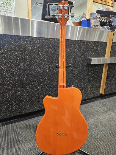 REVEREND DUB-KING BASS W/CASE 2