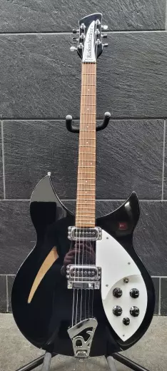 Rickenbacker - 330 JG