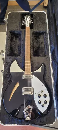Rickenbacker - 330 JG 3