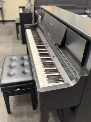 Roland - LX705-CH-WSB 2