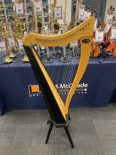 Dusty Strings - RAV26 FULL OF 2