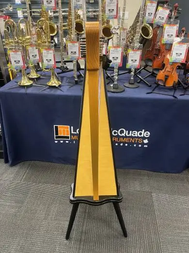 Dusty Strings - RAV26 FULL OF 2