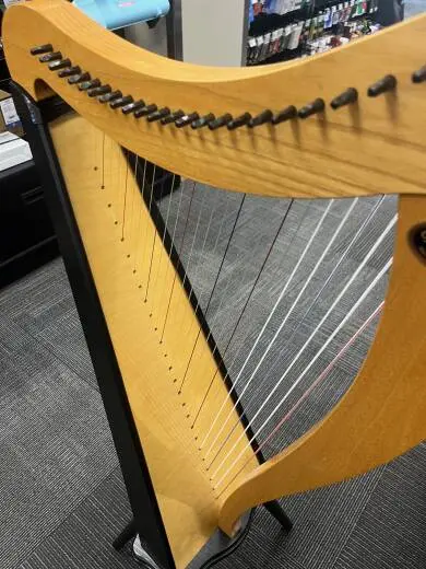 Dusty Strings - RAV26 FULL OF 2