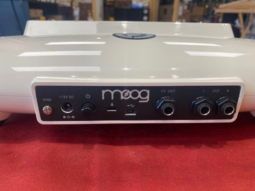 Moog - EW-THEREMINI-01 4