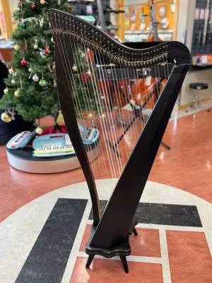 Dusty Strings - RAV34 FULL OF