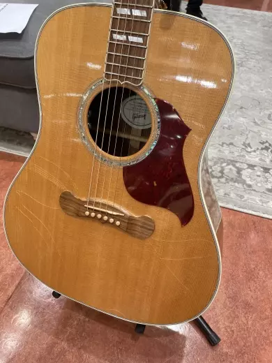 Gibson - ACSD19ANGH 2