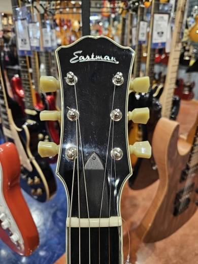 Eastman Guitars - T484 4