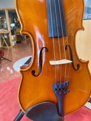 Eastman Strings - Student Violin Outfit 2