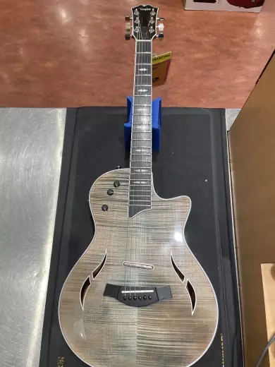 Taylor Guitars - T5Z PRO DE S.E.
