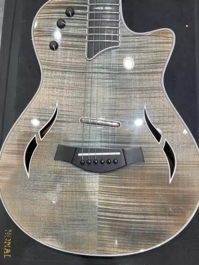 Taylor Guitars - T5Z PRO DE S.E. 2