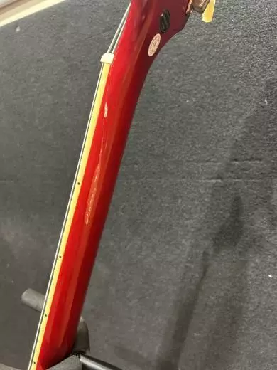 Store Special Product - Epiphone - EISSBCHNHLH